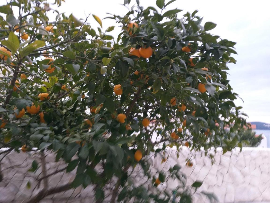 Villa Mira Τρογκίρ Δωμάτιο φωτογραφία